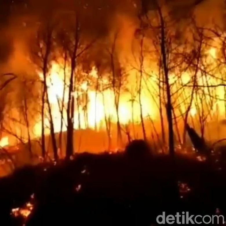 Daftar Wilayah Terdampak Asap Karhutla 9-11 September 2023