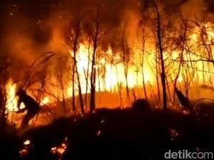 Daftar Wilayah Terdampak Asap Karhutla 9-11 September 2023