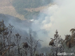 Kebakaran Hutan TNBTS Masih Belum Padam, Ini Kendalanya