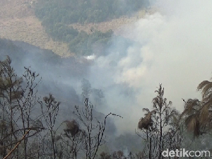 Kebakaran Hutan TNBTS Masih Belum Padam, Ini Kendalanya