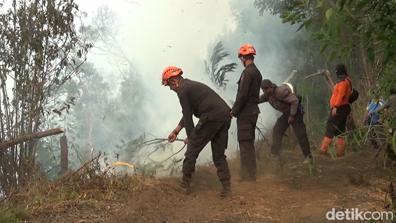 Sulitnya Padamkan Kebakaran di Taman Nasional Bromo Tengger Semeru