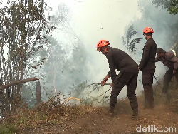 Sulitnya Padamkan Kebakaran di Taman Nasional Bromo Tengger Semeru