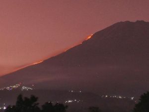 Hutan di Gunung Sumbing Terbakar!