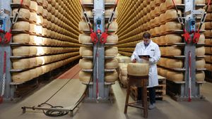 Lawan Produk Palsu, Produsen Italia Pasang Microchip di Keju