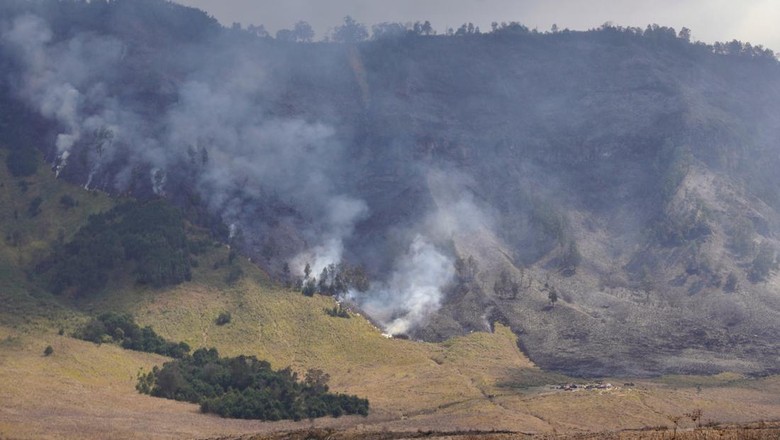 Mau ke Bromo, Cek 3 Rute dan Jalur yang Boleh Dilewati Usai Hutan Terbakar