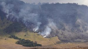 Penampakan Kebakaran yang Landa Savana Gunung Bromo