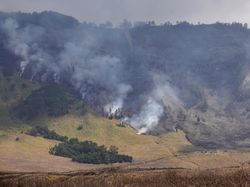 Para Pelaku Wisata Terdampak Imbas Karhutla Kawasan Gunung Bromo