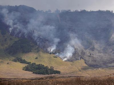 Penampakan Kebakaran yang Landa Savana Gunung Bromo