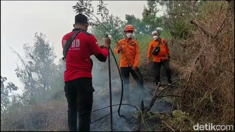 Kebakaran di Hutan TNBTS Lumajang Padam