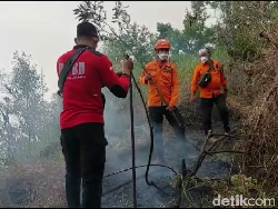Kebakaran Hutan di TNBTS Meluas, Wisata B-29 Lumajang Ditutup