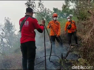 Kebakaran Hutan di TNBTS Meluas, Wisata B-29 Lumajang Ditutup Kebakaran Hutan di TNBTS Meluas, Wisata B-29 Lumajang Ditutup