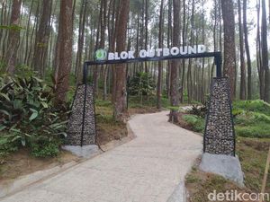 Ada yang Baru di Magelang Lur! Jajal Kemping di Pinea Forest Mangli Yuk