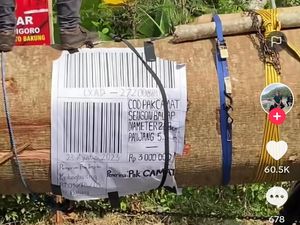 Sederet Fakta Peserta Karnaval Bawa COD Kayu Sengon Pak Camat Blitar Sederet Fakta Peserta Karnaval Bawa COD Kayu Sengon Pak Camat Blitar