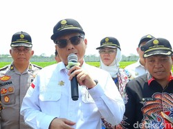 Wamentan Pastikan Stok Pangan di Indonesia Aman Meski Ada El Nino