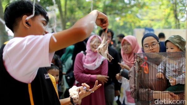 Ajak Anak Mengenal Beragam Hewan di West Java Festival 2023