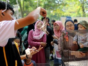 Ajak Anak Mengenal Beragam Hewan di West Java Festival 2023