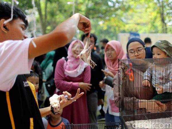 Ajak Anak Mengenal Beragam Hewan di West Java Festival 2023
