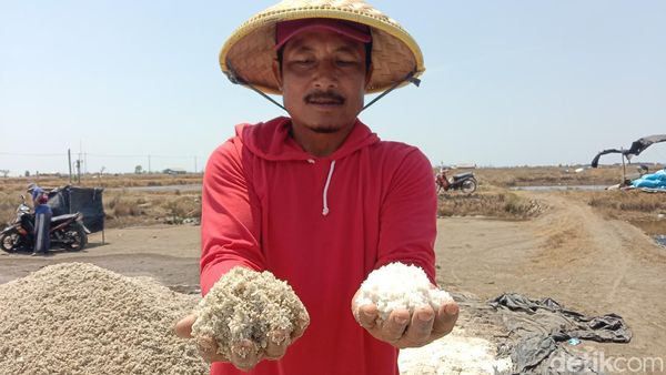 Potret Panen Garam di Krangkeng Indramayu
