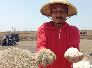 Potret Panen Garam di Krangkeng Indramayu