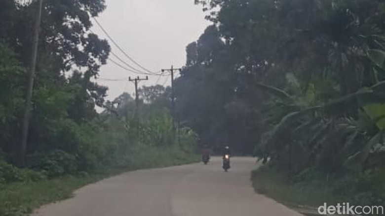 Kabut Asap Mulai Terasa di Muaro Jambi, Imbas Kebakaran Lahan