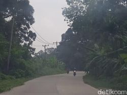 Kabut Asap Mulai Terasa di Muaro Jambi, Imbas Kebakaran Lahan