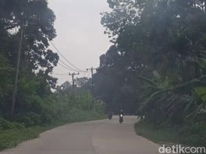 BMKG Ungkap Peningkatan Hotspot di Jambi, Tercatat 1.233 Titik BMKG Ungkap Peningkatan Hotspot di Jambi, Tercatat 1.233 Titik