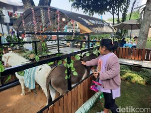 Sabtu Pagi di Bandung,  Pas Banget Nih Ajak Anak Main di West Java Festival