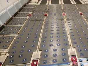 Baru! Pesawat Full Kargo di RI, Tahu Isi Kabinnya?