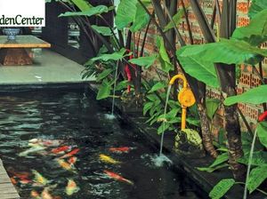 10 Hal yang Dipercaya Bisa Bawa Keberuntungan di Rumah