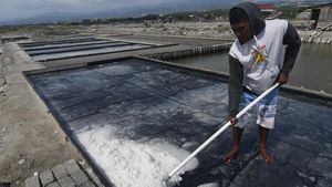 Berkah Petani Garam Dibalik Fenomena El Nino