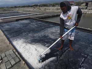 Berkah Petani Garam Dibalik Fenomena El Nino Berkah Petani Garam Dibalik Fenomena El Nino