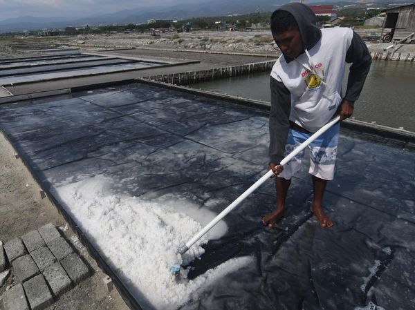 Berkah Petani Garam Dibalik Fenomena El Nino
