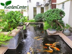 Tips Bikin Kolam Ikan Selalu Jernih