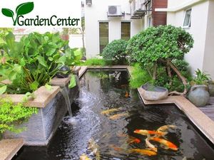 Tips Bikin Kolam Ikan Selalu Jernih Tips Bikin Kolam Ikan Selalu Jernih