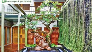 Inspirasi Kolam Ikan yang Cocok untuk Percantik Rumah