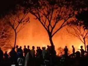 Heboh Kebakaran di Kebun Raya Indrokilo Boyolali, Pemkab: Lahan Warga Heboh Kebakaran di Kebun Raya Indrokilo Boyolali, Pemkab: Lahan Warga