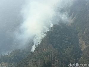 Kebakaran Hutan TNBTS Padam, Petugas Gabungan di Lumajang Tetap Siaga