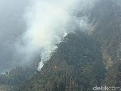 Kebakaran di Bromo Meluas, Gunung Ringgit dan Bukit Lembu Juga Terbakar
