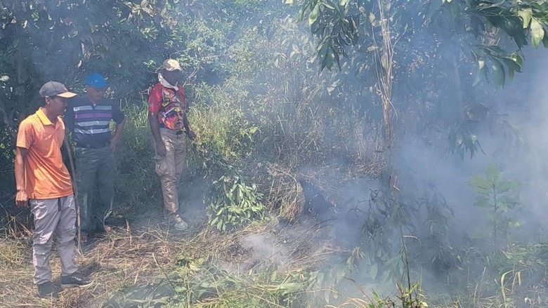 Lahan Gambut Dekat Barak Dalmas Terbakar, Kapolda Bengkulu Turun Tangan