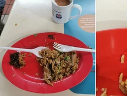 Bikin Mual! Lagi Asyik Makan Netizen Ini Temukan Kecoak Mati di Nasi Bebeknya