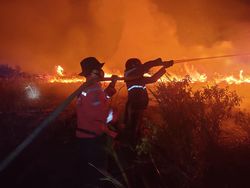 Lahan Kosong di Jalan Lintas Timur Palembang-Ogan Ilir Terbakar!