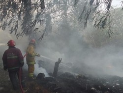 4 Fakta Kebakaran Lahan di Gunungputri Bogor gegara Bakar Sampah