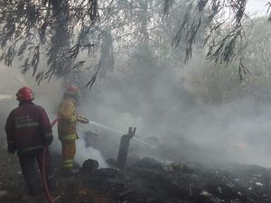 4 Fakta Kebakaran Lahan di Gunungputri Bogor gegara Bakar Sampah 4 Fakta Kebakaran Lahan di Gunungputri Bogor gegara Bakar Sampah