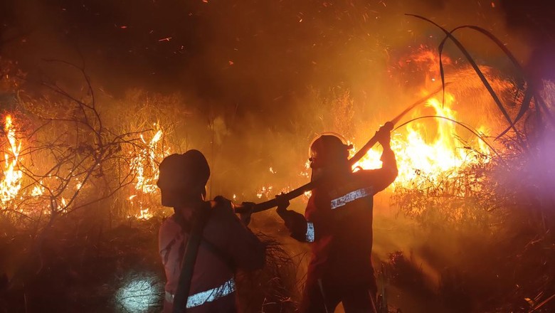 Kualitas Udara Buruk Akibat Karhutla, Gubernur Sumsel Tingkatkan Kewaspadaan