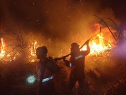 Kebakaran Lahan di Jalintim Belum Padam, Lalu Lintas Tol Palindra Terganggu