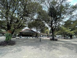 Mengenal Filosofi Pohon di Keraton Jogja: dari Sawo Kecik-Beringin