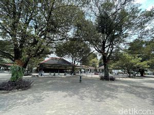 Mengenal Filosofi Pohon di Keraton Jogja: dari Sawo Kecik-Beringin Mengenal Filosofi Pohon di Keraton Jogja: dari Sawo Kecik-Beringin