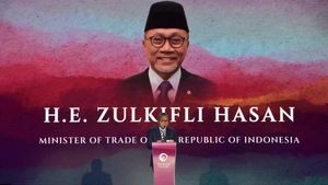 Zulhas Ungkap Kunci Perkuat Kerja Sama Bisnis di ASEAN