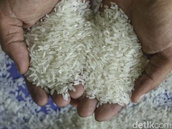 Kenapa Harga Beras Naik?