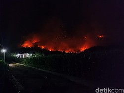Meluasnya Kebakaran Hutan di Ponorogo Ancam Permukiman Warga